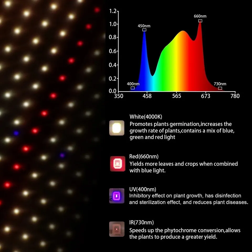 Quantum Board Grow Light 05(001)