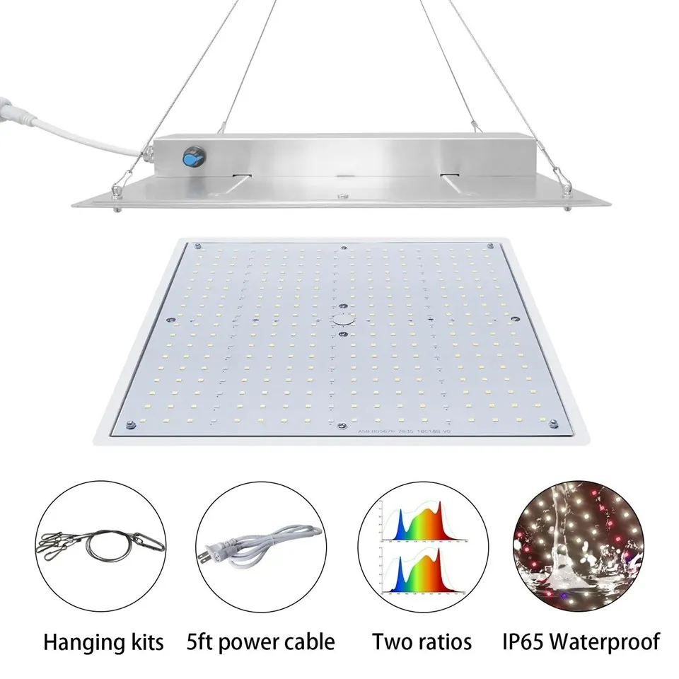 Quantum Board Grow Light 03(001)
